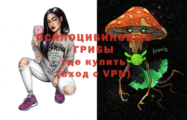 спиды Медвежьегорск