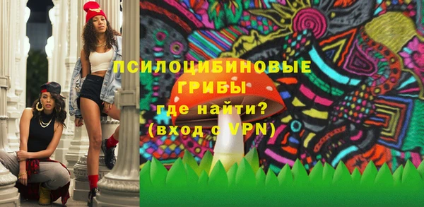 спиды Медвежьегорск