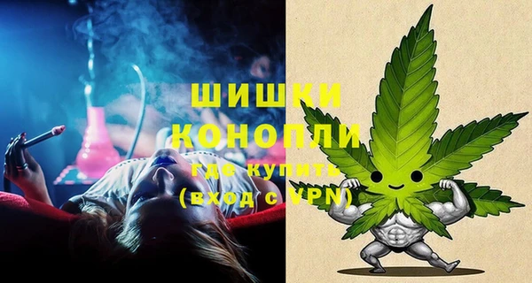 спиды Медвежьегорск