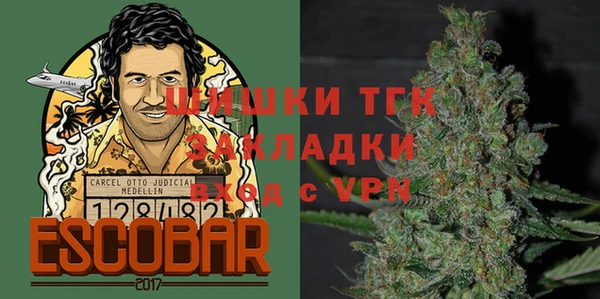 дмт Мегион