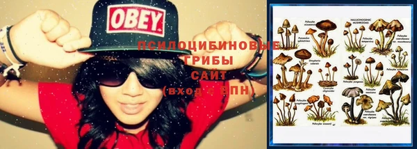 спиды Медвежьегорск