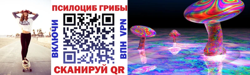 Псилоцибиновые грибы Cubensis  мориарти как зайти  Якутск  цены наркотик  кракен ТОР 