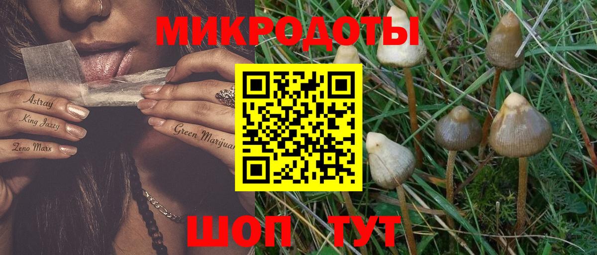 Якутск  Псилоцибиновые грибы прущие грибы  Вход с VPN  Галлюциногенные грибы MAGIC MUSHROOMS 
